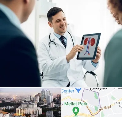 دکتر فوق تخصص سنگ کلیه در الهیه 