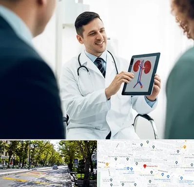 دکتر فوق تخصص سنگ کلیه در میرداماد 