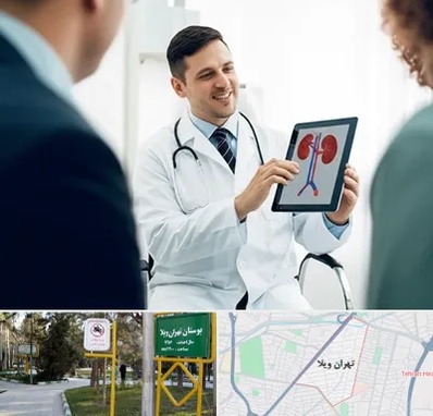 دکتر فوق تخصص سنگ کلیه در تهران ویلا