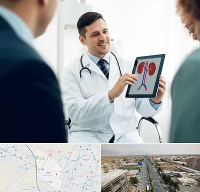 دکتر فوق تخصص سنگ کلیه در حصارک کرج 