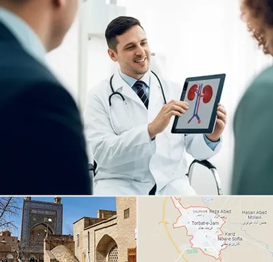 دکتر فوق تخصص سنگ کلیه در تربت جام