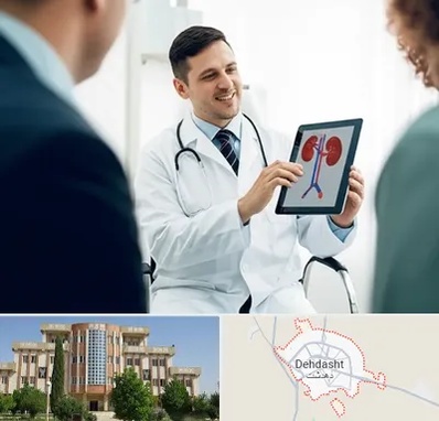 دکتر فوق تخصص سنگ کلیه در دهدشت