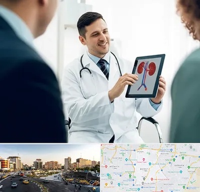 دکتر فوق تخصص سنگ کلیه در منطقه 7 تهران 