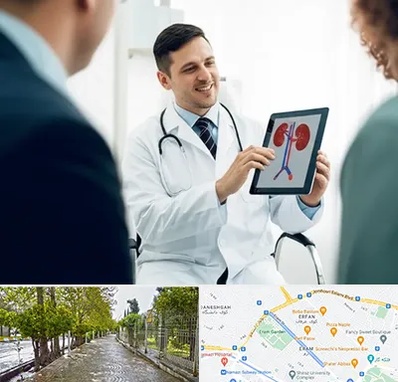 دکتر فوق تخصص سنگ کلیه در خیابان ارم شیراز 