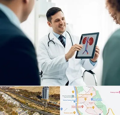 دکتر فوق تخصص سنگ کلیه در خیابان نیایش شیراز 