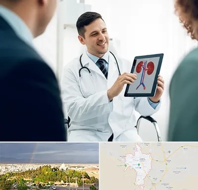 دکتر فوق تخصص سنگ کلیه در تربت حیدریه