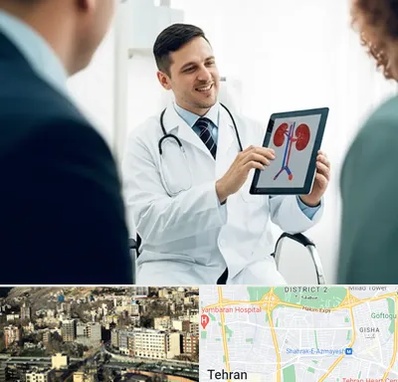 دکتر فوق تخصص سنگ کلیه در مرزداران 