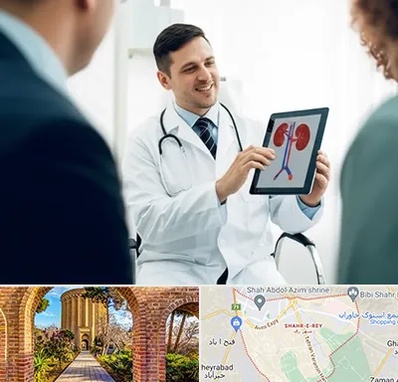 دکتر فوق تخصص سنگ کلیه در شهر ری