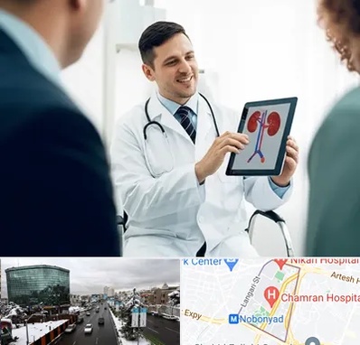 دکتر فوق تخصص سنگ کلیه در اقدسیه 