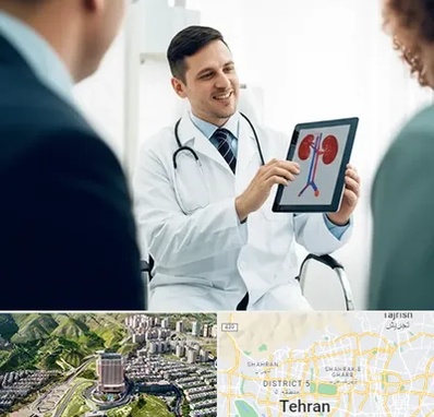 دکتر فوق تخصص سنگ کلیه در شمال تهران 