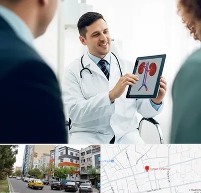 دکتر فوق تخصص سنگ کلیه در هفده شهریور تبریز 