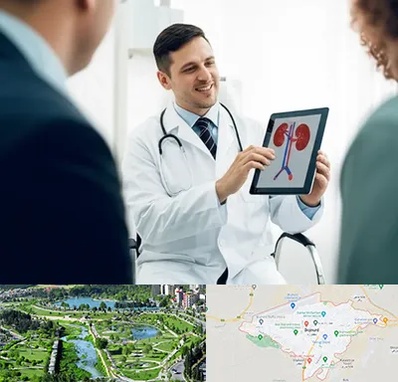 دکتر فوق تخصص سنگ کلیه در بجنورد