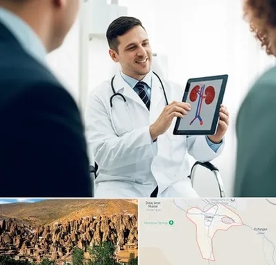 دکتر فوق تخصص سنگ کلیه در اسکو