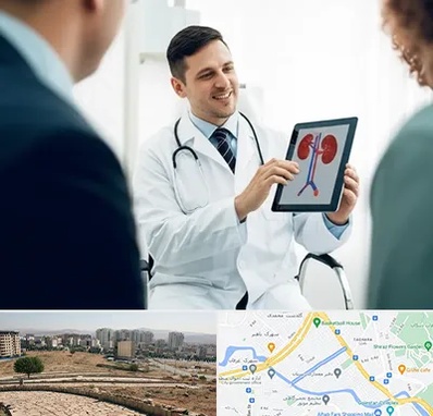 دکتر فوق تخصص سنگ کلیه در کوی وحدت شیراز 