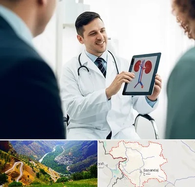 دکتر فوق تخصص سنگ کلیه در کردستان