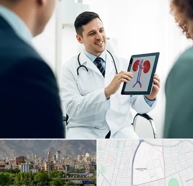 دکتر فوق تخصص سنگ کلیه در جمشیدیه 