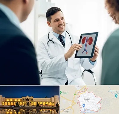 دکتر فوق تخصص سنگ کلیه در برازجان
