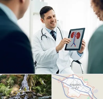 دکتر فوق تخصص سنگ کلیه در الیگودرز