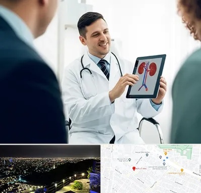 دکتر فوق تخصص سنگ کلیه در هفت تیر مشهد 