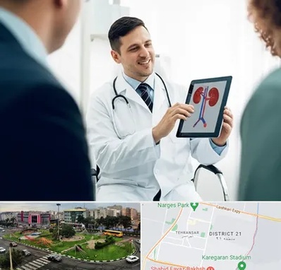 دکتر فوق تخصص سنگ کلیه در تهرانسر 