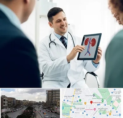 دکتر فوق تخصص سنگ کلیه در بلوار فردوسی مشهد 