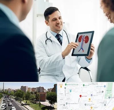 دکتر فوق تخصص سنگ کلیه در شهرک آزمایش 