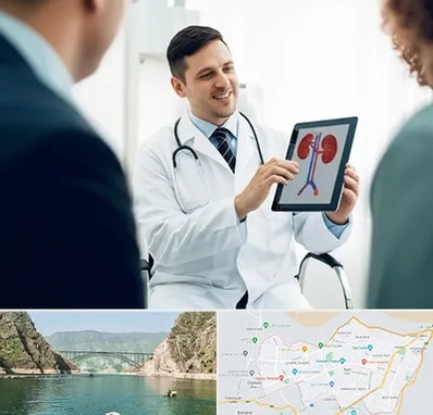 دکتر فوق تخصص سنگ کلیه در ایلام