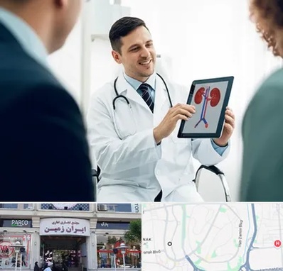 دکتر فوق تخصص سنگ کلیه در ایران زمین 