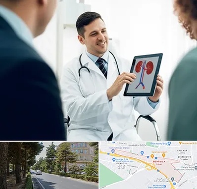 دکتر فوق تخصص سنگ کلیه در مهرویلا کرج 