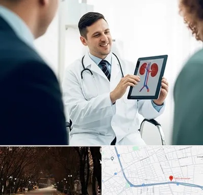 دکتر فوق تخصص سنگ کلیه در ابوریحان تبریز 