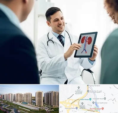 دکتر فوق تخصص سنگ کلیه در المپیک