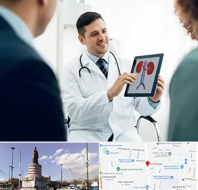 دکتر فوق تخصص سنگ کلیه در کارگر جنوبی