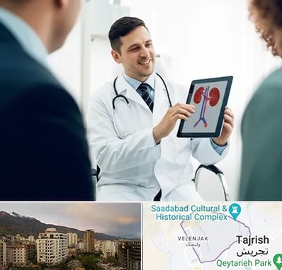 دکتر فوق تخصص سنگ کلیه در زعفرانیه 