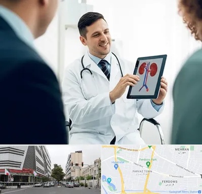 دکتر فوق تخصص سنگ کلیه در بلوار فردوس