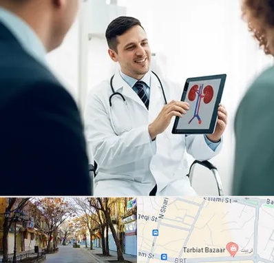 دکتر فوق تخصص سنگ کلیه در تربیت تبریز 