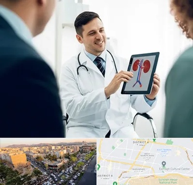 دکتر فوق تخصص سنگ کلیه در تهرانپارس 