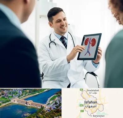 دکتر فوق تخصص سنگ کلیه در اصفهان