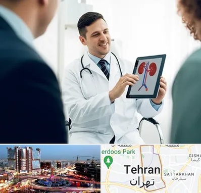 دکتر فوق تخصص سنگ کلیه در صادقیه 