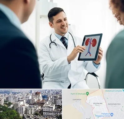 دکتر فوق تخصص سنگ کلیه در ولنجک 