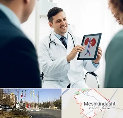 دکتر فوق تخصص سنگ کلیه در مشکین دشت