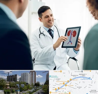 دکتر فوق تخصص سنگ کلیه در اندرزگو 