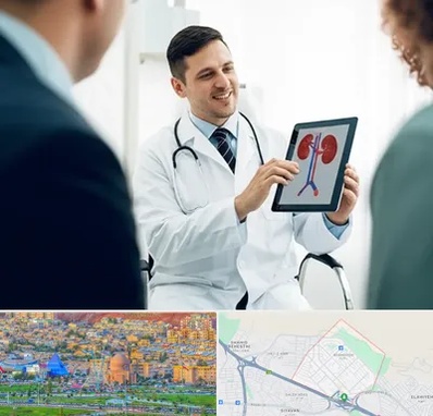 دکتر فوق تخصص سنگ کلیه در رشدیه تبریز 