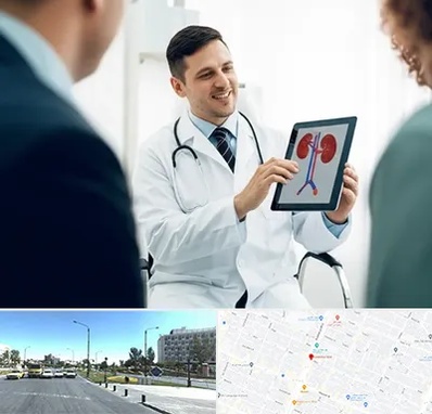 دکتر فوق تخصص سنگ کلیه در بلوار کلاهدوز مشهد 