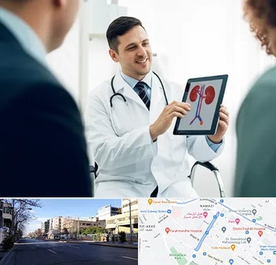 دکتر فوق تخصص سنگ کلیه در خیابان ملاصدرا شیراز 