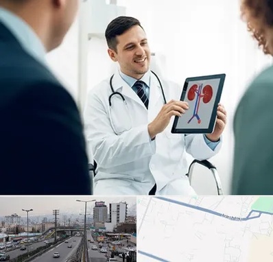 دکتر فوق تخصص سنگ کلیه در بلوار ارتش