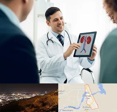 دکتر فوق تخصص سنگ کلیه در میناب