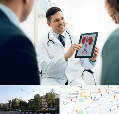 دکتر فوق تخصص سنگ کلیه در میدان کاج 