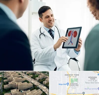 دکتر فوق تخصص سنگ کلیه در اکباتان 