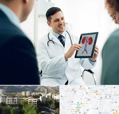 دکتر فوق تخصص سنگ کلیه در دیباجی 