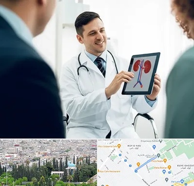 دکتر فوق تخصص سنگ کلیه در محلاتی شیراز 